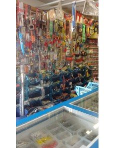 IMAGEM-12